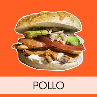 Pollo